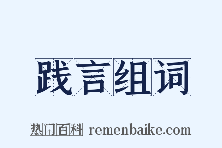 践言组词是什么意思的图片